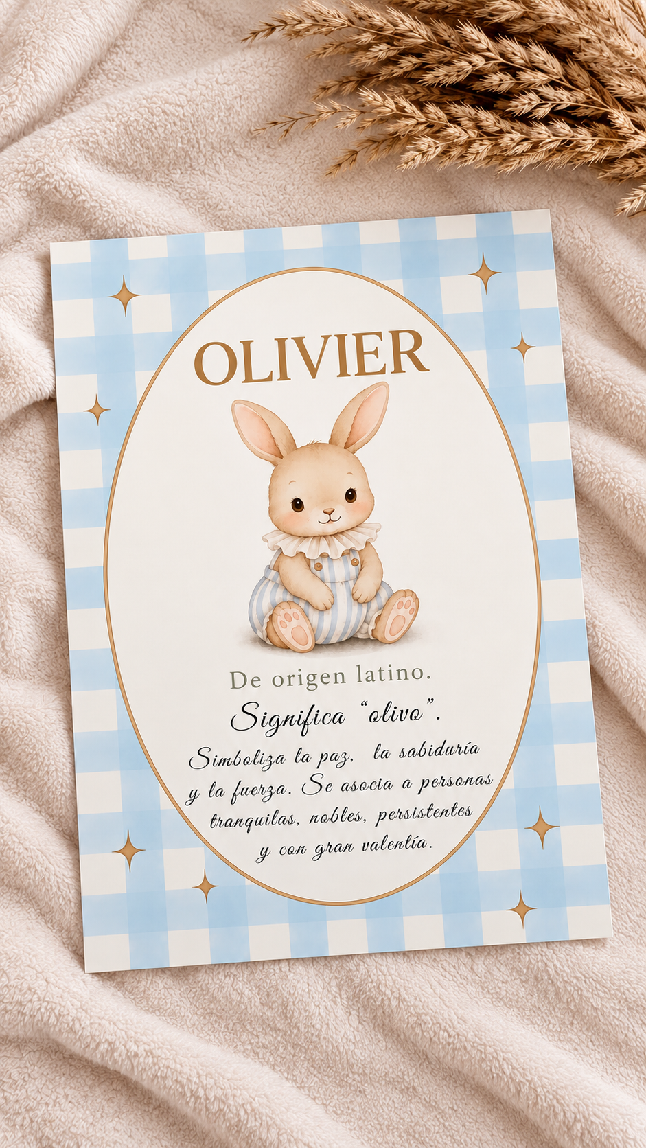 Lámina Vichy Rabbit - Nombre y significado