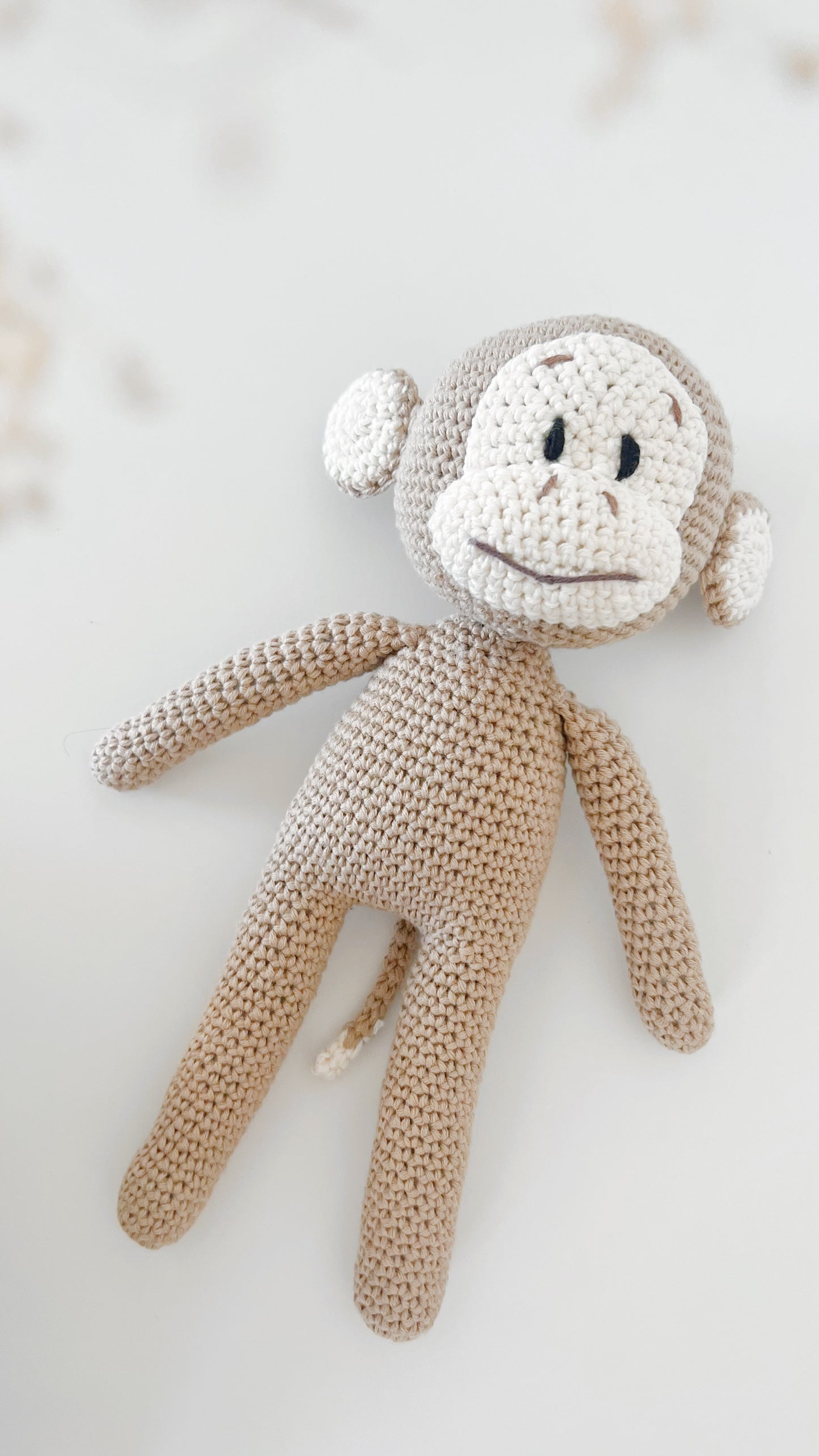 Little Monkey
