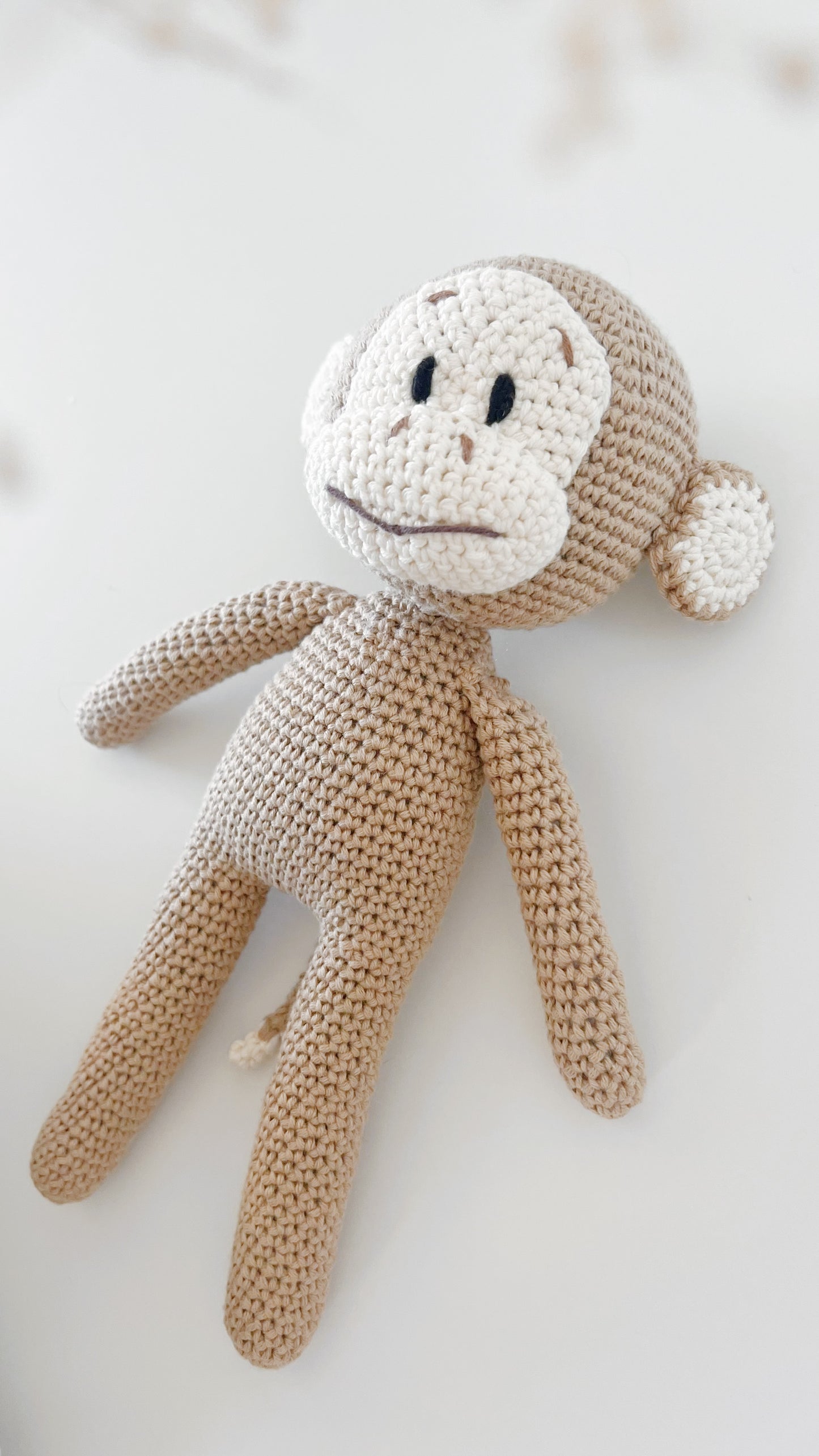 Little Monkey