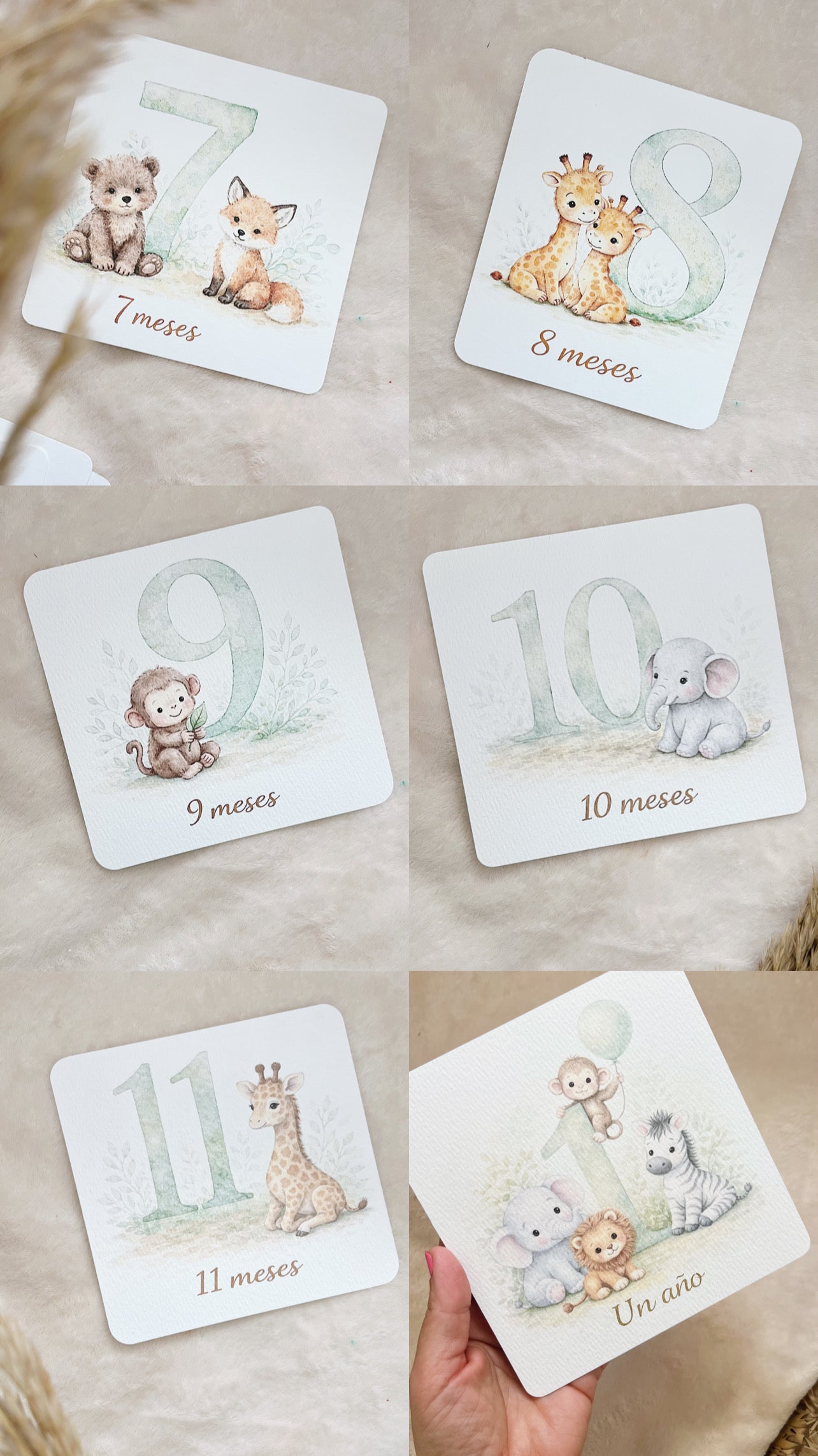 Cumplemes Safari